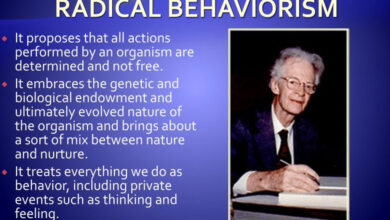 A Tale of Behaviour Beyond Boundaries